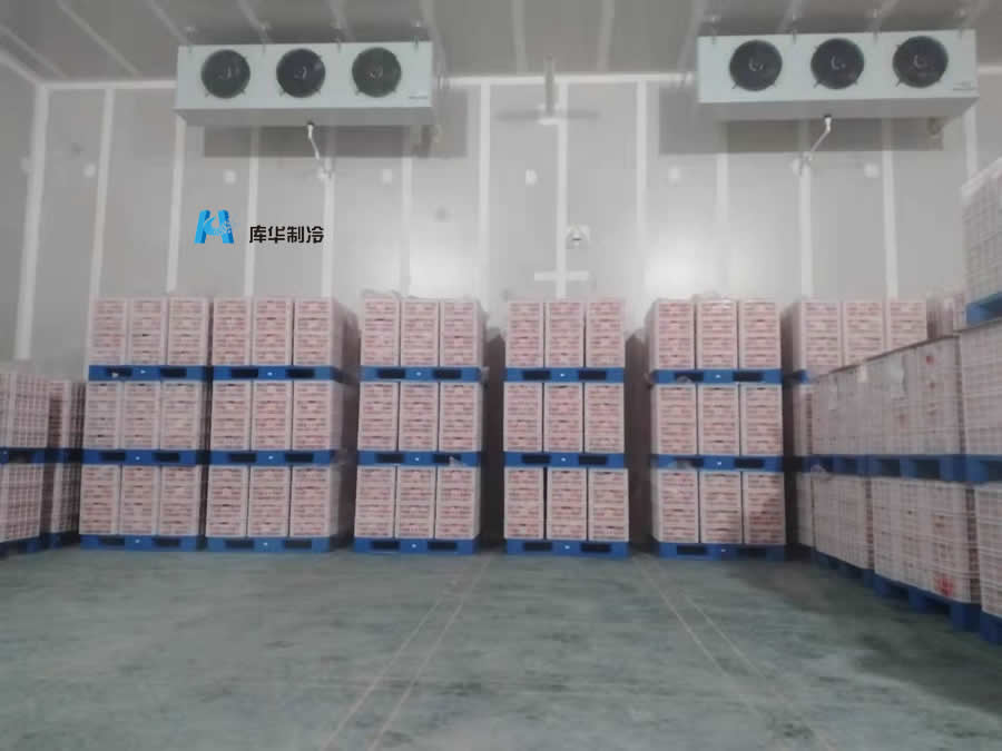 普通保鮮冷庫與氣調冷庫的區別有哪些？