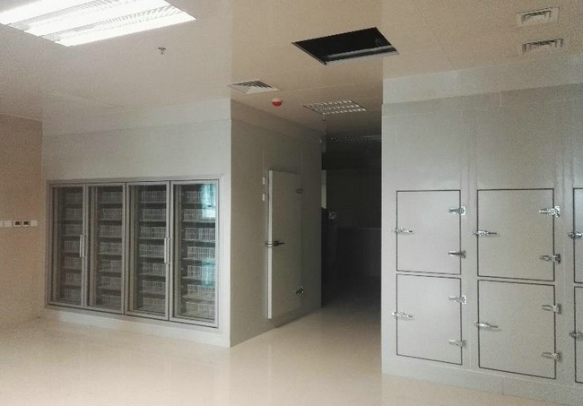 雙溫冷庫安裝多少錢?價格是如何計算的?