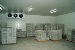 浙江蜜之源果業1000立方氣調冷庫工程